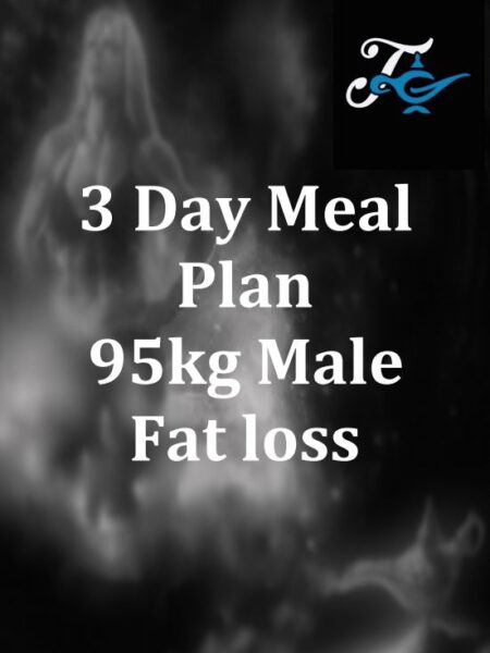 95kg Male Fat Loss